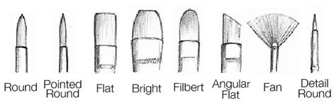 Paintbrushes for Acrylics: Beginner's Guide Explaining Shapes, Sizes ...