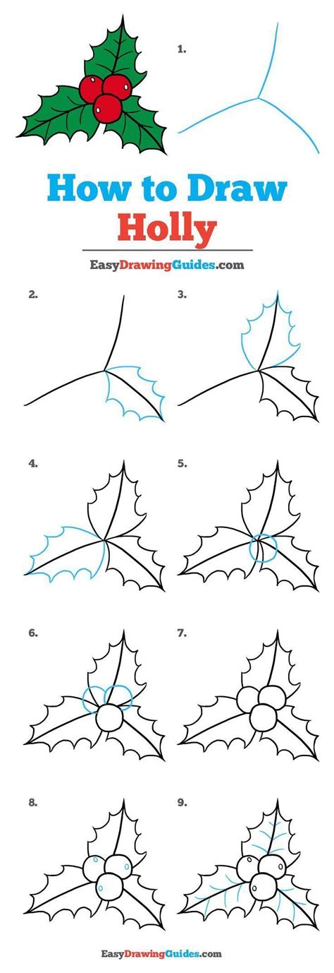 How to Draw Holly for Christmas - Really Easy Drawing Tutorial ...