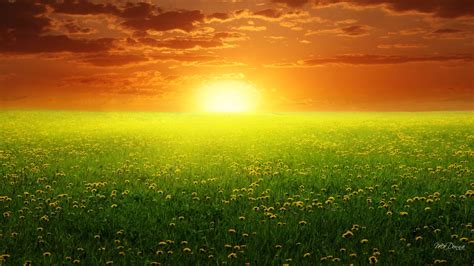 Sun So Bright wallpaper | nature and landscape | Wallpaper Better