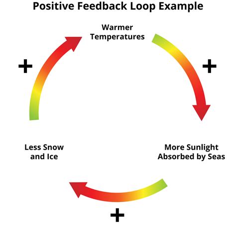 Positive Feedback Loop Example Environment