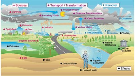 Soil Contamination, Risk Assessment and Remediation | IntechOpen