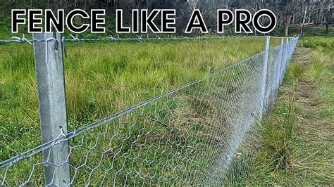 How to Install Chicken Wire Dog Fencing - PostureInfoHub