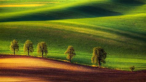 Wallpaper : 1920x1080 px, green, ground, hills, trees 1920x1080 ...