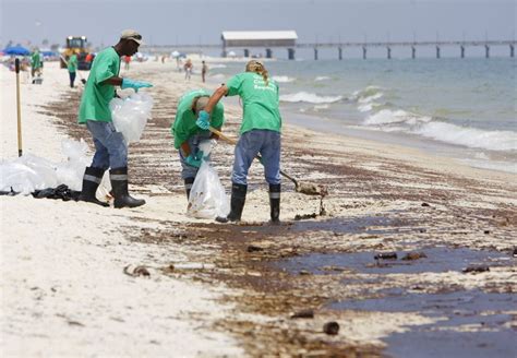 BP begins using heavy machinery to dig up buried oil from Gulf of ...