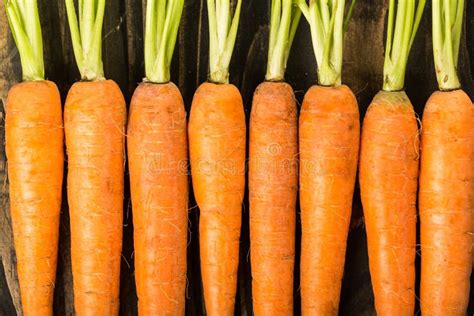 Carrot stock image. Image of uncooked, closeup, natural - 117979863