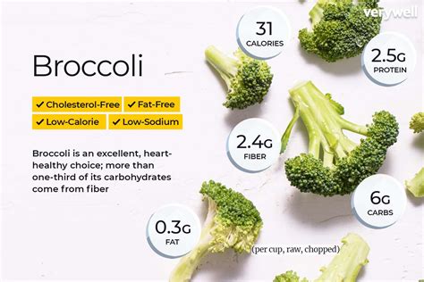 How Much Does a Cup of Broccoli Weigh? - PostureInfoHub