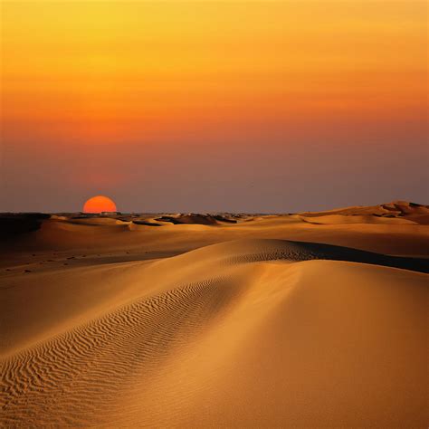 Beach Sand Dunes Sunset