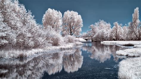 3840x2160 Ice Lake Frozen Trees 4k 4K ,HD 4k Wallpapers,Images ...