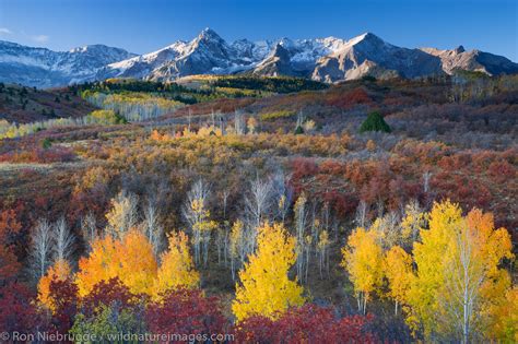 Autumn colors, Dallas Divide | San Juan Mountains, Colorado. | Photos ...