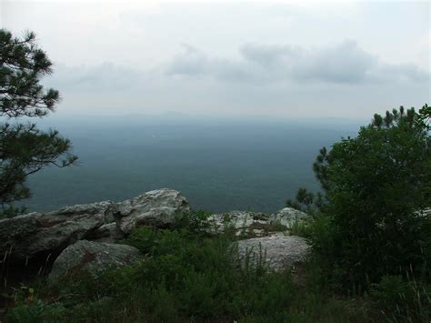 Southern Comfort: PIC OF THE WEEK - TALLADEGA NATIONAL FOREST