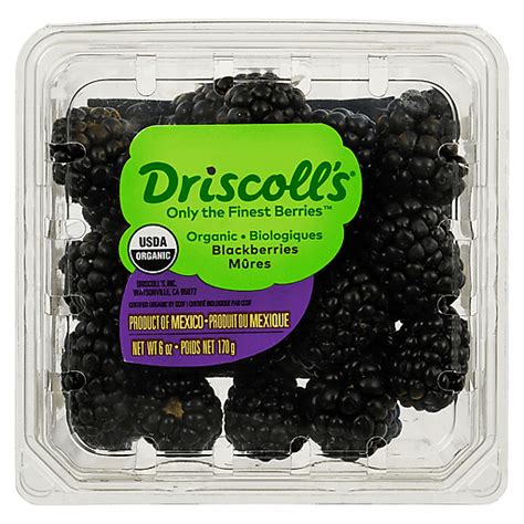 Driscoll's Blackberries, Organic 6 oz | Shop | Carlie C's