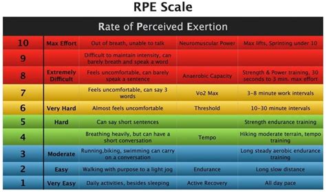 Rpe Percentage Chart