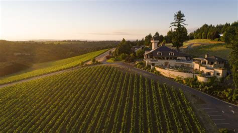 This Beautiful Oregon Winery Is Leading The Way To Sustainable Wine ...