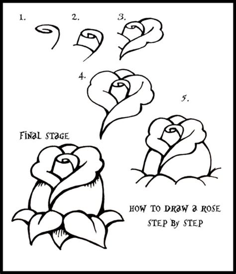 How To Draw A Flower (Step By Step Image Guides)