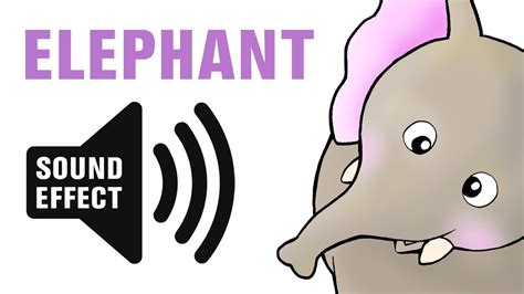 Elephant Sound Effect - Trumpet | Elephant sound, Sound effects, Elephant