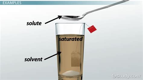 Saturated Solution: Definition & Examples - Video & Lesson Transcript ...