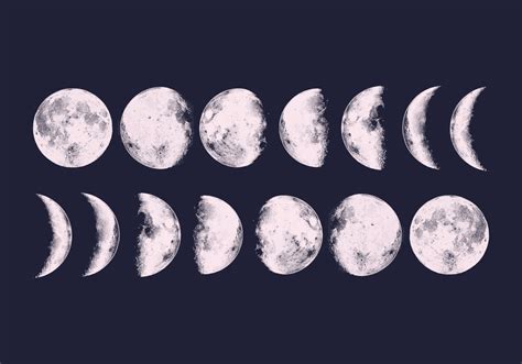 Vector Moon Phases - Download Free Vector Art, Stock Graphics & Images