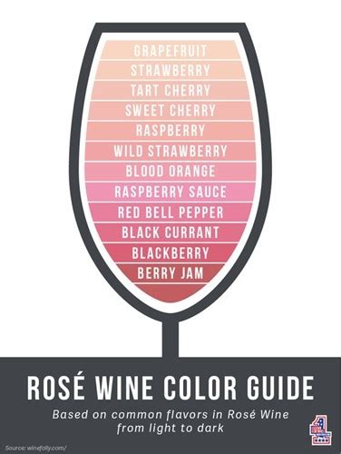 A Guide to Rosé: What it is, How it is Made and What it Pairs With - Le ...