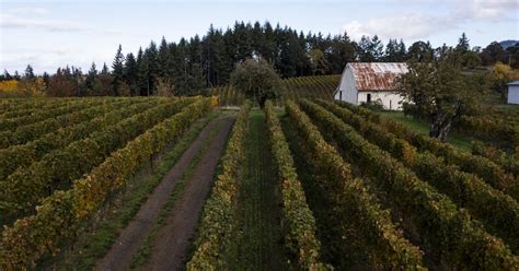 Oregon Is Going All-In on Wine Events and Festivals This Spring - Eater ...