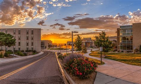 Colorado State University