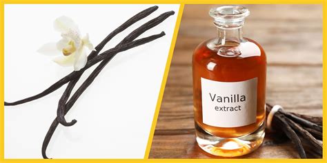 Pure Vanilla Extract - Vanilla UG - Clip Art Library