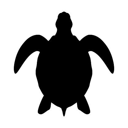 Turtle Silhouette Stock Illustration - Download Image Now - iStock