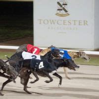 Towcester Racecourse events.