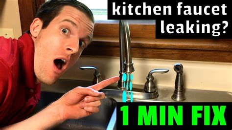 Delta Kitchen Faucet Leaking From Base | Wow Blog