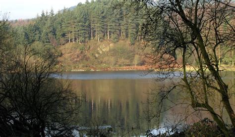 Walks for All - Macclesfield Forest - Visit Cheshire