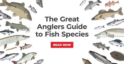 Fish Species & Types of Fish: Ultimate Guide for Anglers