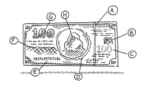 Banknote Security Features Drawing Drawing by Frank Ramspott - Fine Art ...