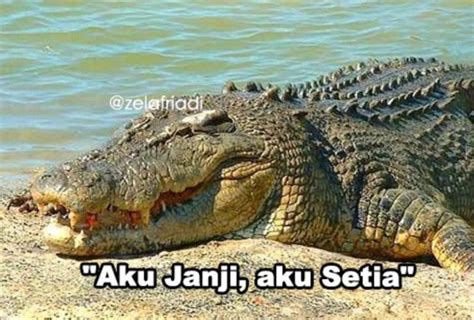 Meme Buaya Darat - Meme Ngakak Lucu