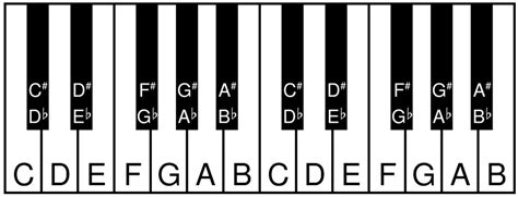 Major Scale Patterns Chart: Easy to Use and Remember - Spinditty