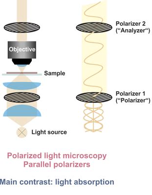 Polarized light microscopy — SALSA School of Analytical Sciences Adlershof