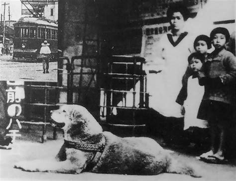 Rare Photos Of Hachiko, The World’s Most Loyal Dog » Design You Trust ...