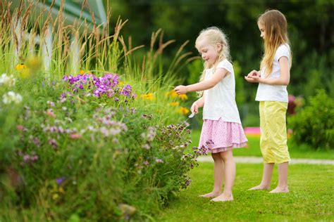 7 Healthy Spring Activities For Kids | Woodlands Tree House Preschool