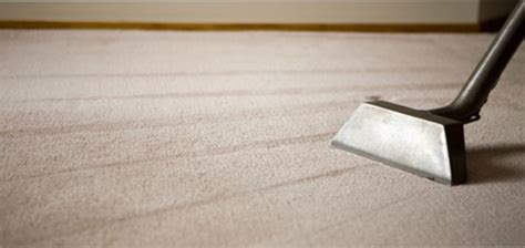 Carpet Cleaning Tips | Your House Helper