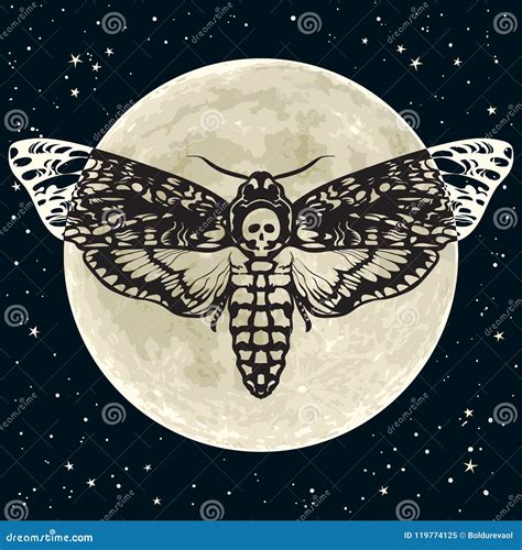 Death Head Hawkmoth On The Full Red Moon Background. Skull Moth ...