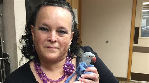 Cascade Hospital For Animals Reunites High-Flying Parakeet with Owner