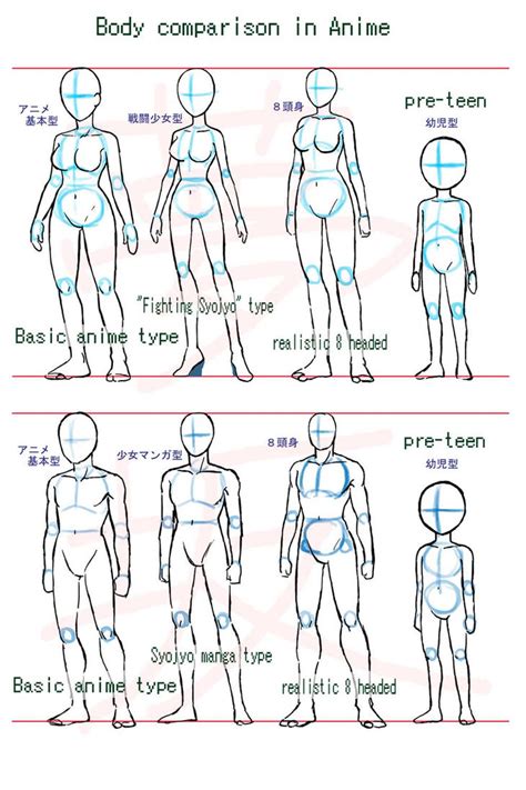 Anime body style comparison by Yumezaka on DeviantArt