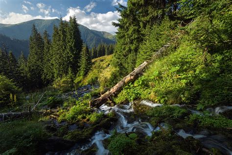 Southern Carpathian Mountains, Romania Is One of the World’s Greatest ...