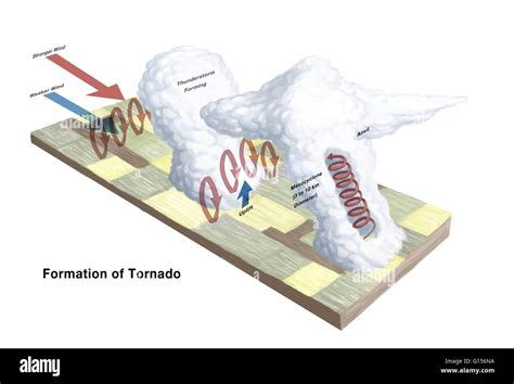 Diagram Of Tornado Forming