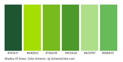 Shades of Green Color Scheme