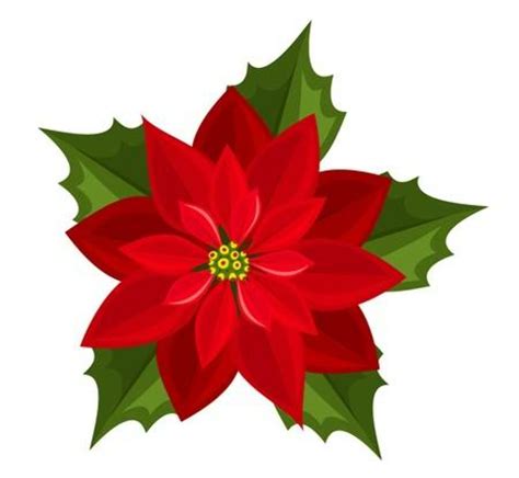 Download High Quality poinsettia clipart Transparent PNG Images - Art ...