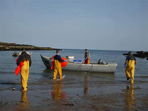 Scottish Wild Salmon Company - Welcome - Scottish wild smoked salmon ...