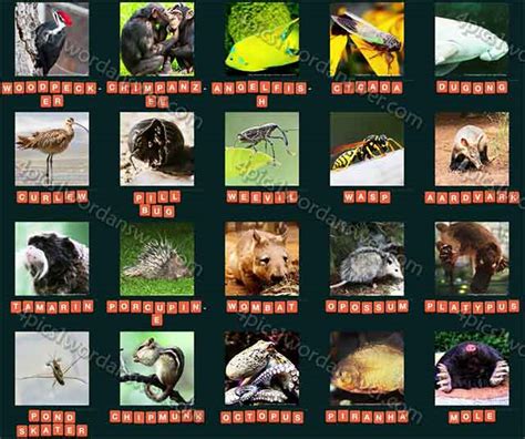 Guess Animal 2015 Level 201 - 220 Answers | 4 Pics 1 Word Daily Puzzle ...