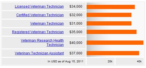 Is Becoming a Vet Tech a Good Career? | Veterinary Technician