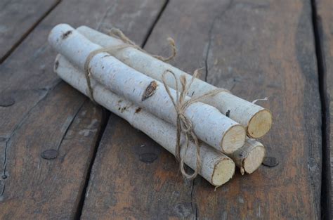 Birch Bundle Logs of 4 White Birch Logs Rustic Craft Supply Rustic ...