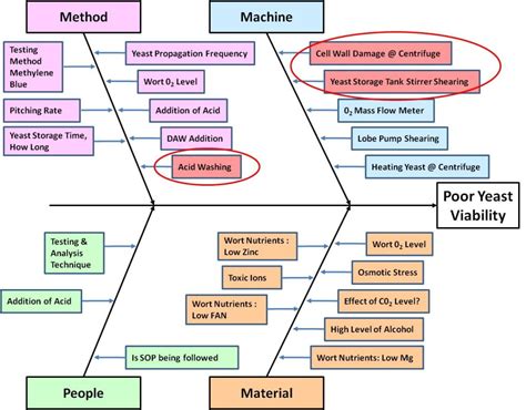 Cause and effect diagram software development - donglow