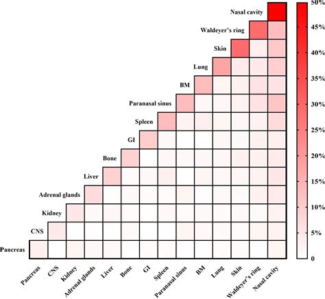 Frontiers | Treatment, Survival, and Prognosis of Advanced-Stage ...